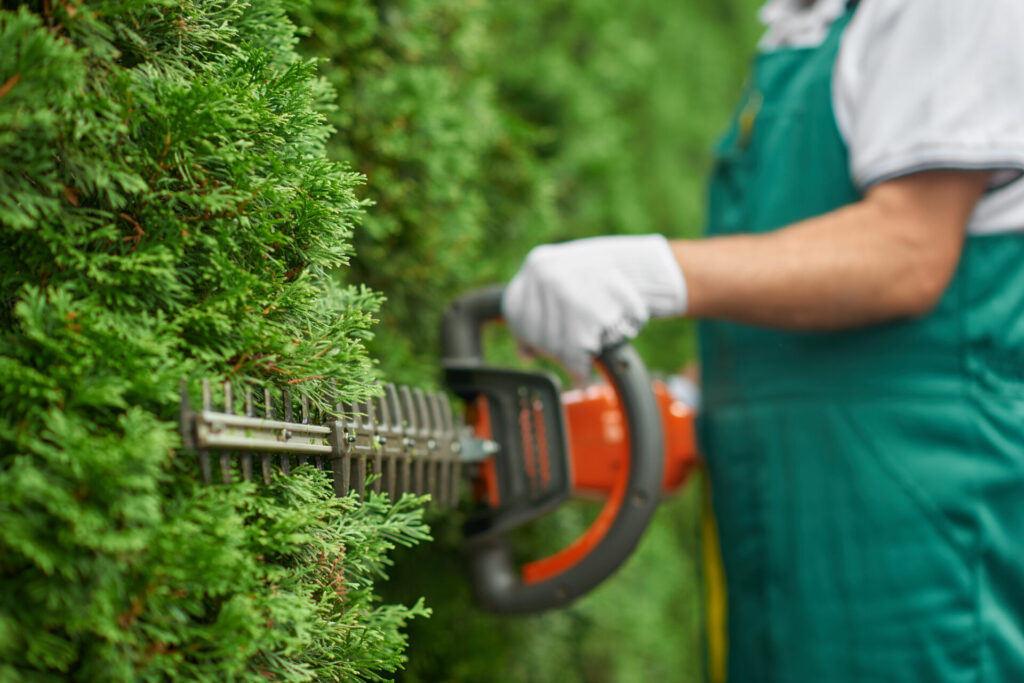 Close,Up,Of,Man,Hand,With,Hedge,Trimmer,Cutting,Bushes