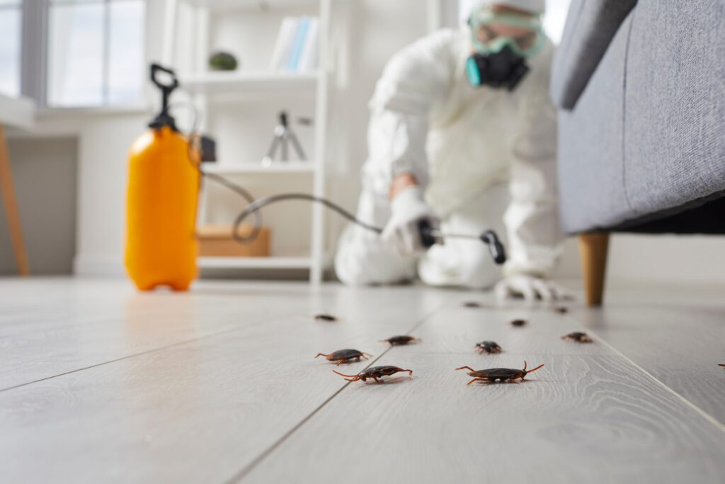 Pest,Control,Guy,Exterminating,Home,Insects.,Male,Contractor,In,White